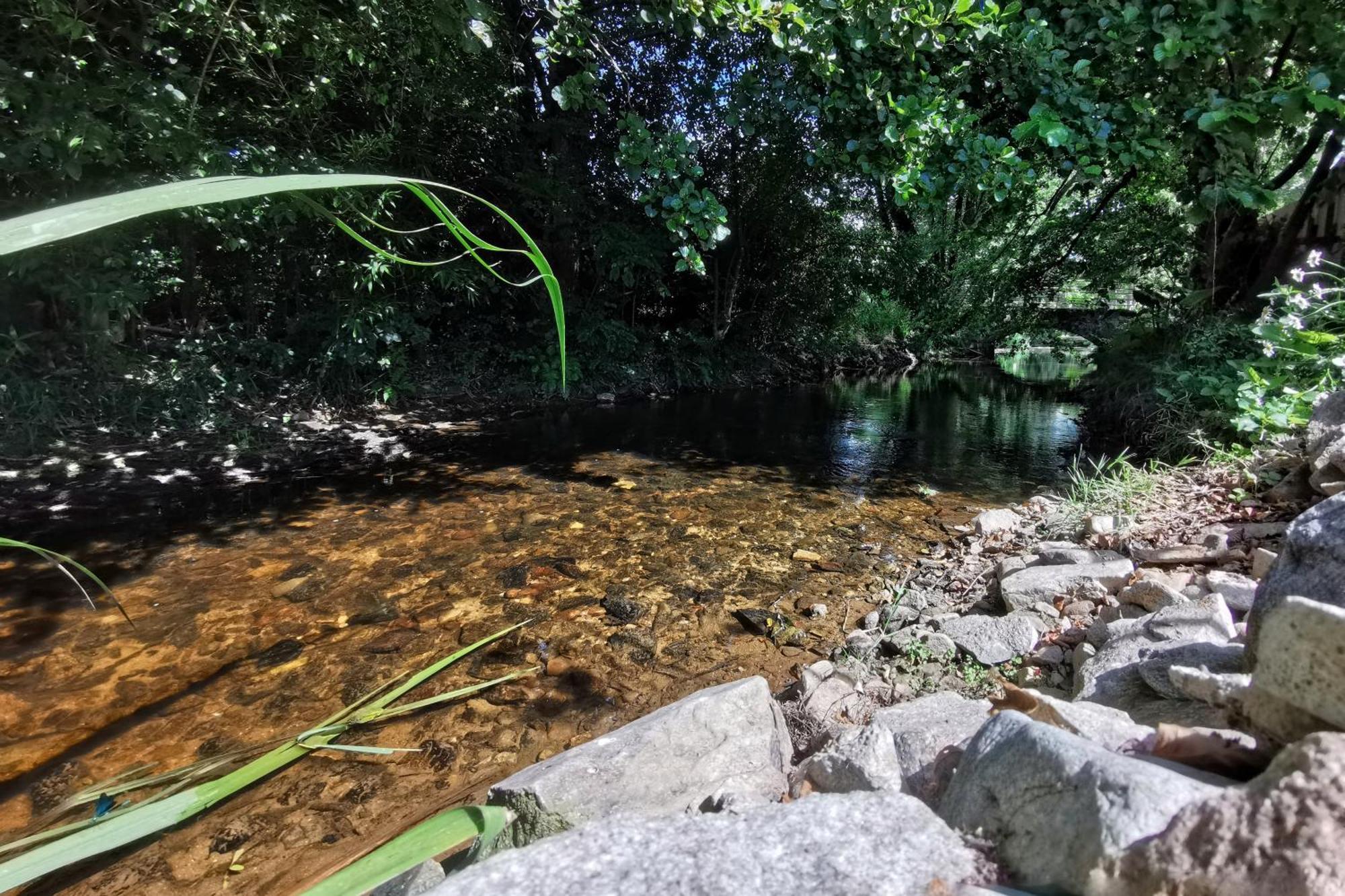Gite Du Moulin Toucan Berneuil  Dış mekan fotoğraf