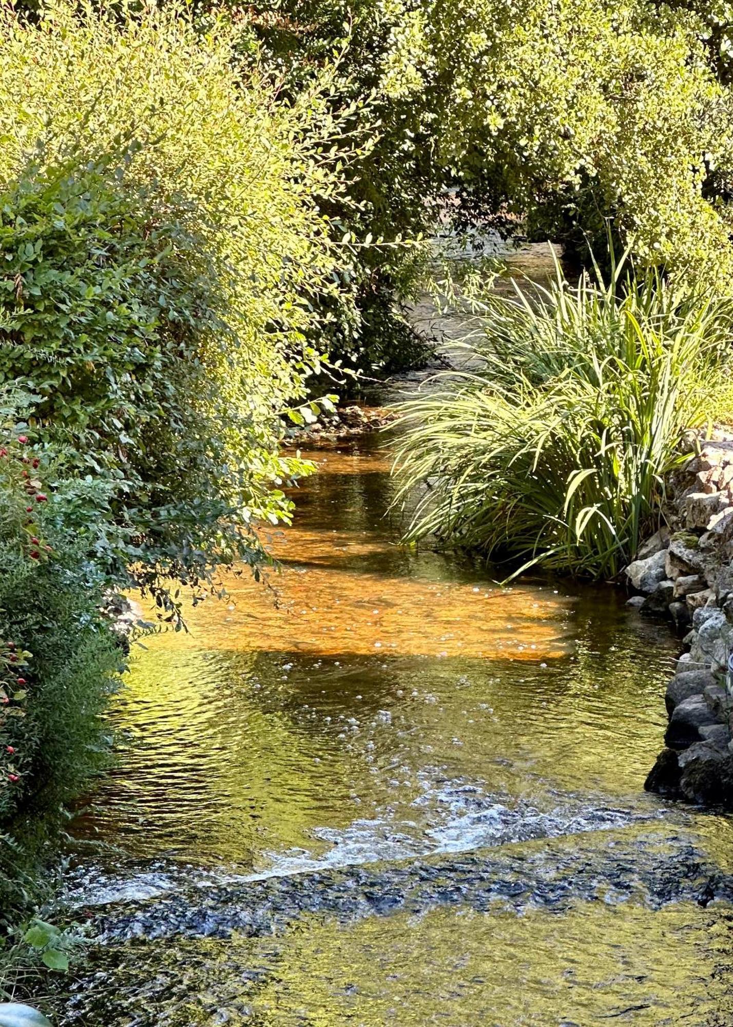 Gite Du Moulin Toucan Berneuil  Dış mekan fotoğraf